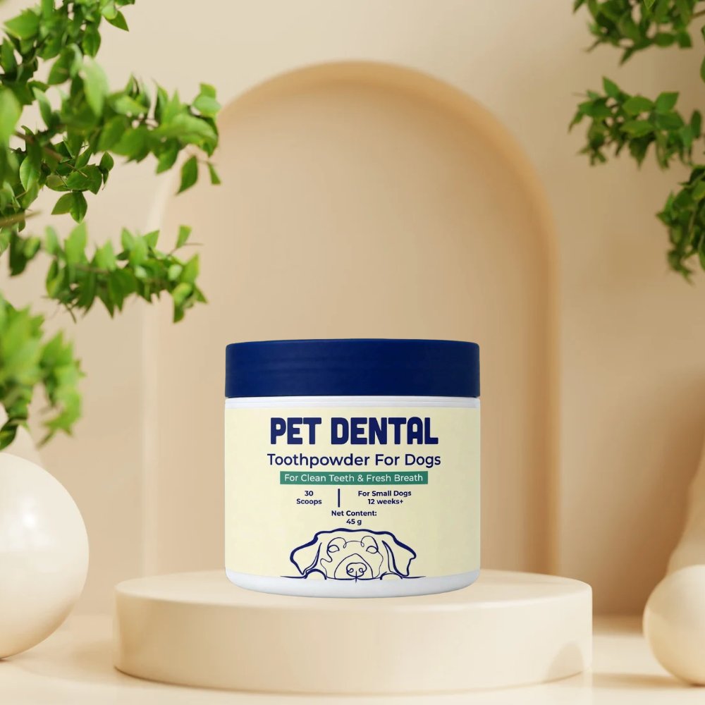 Pet Dental