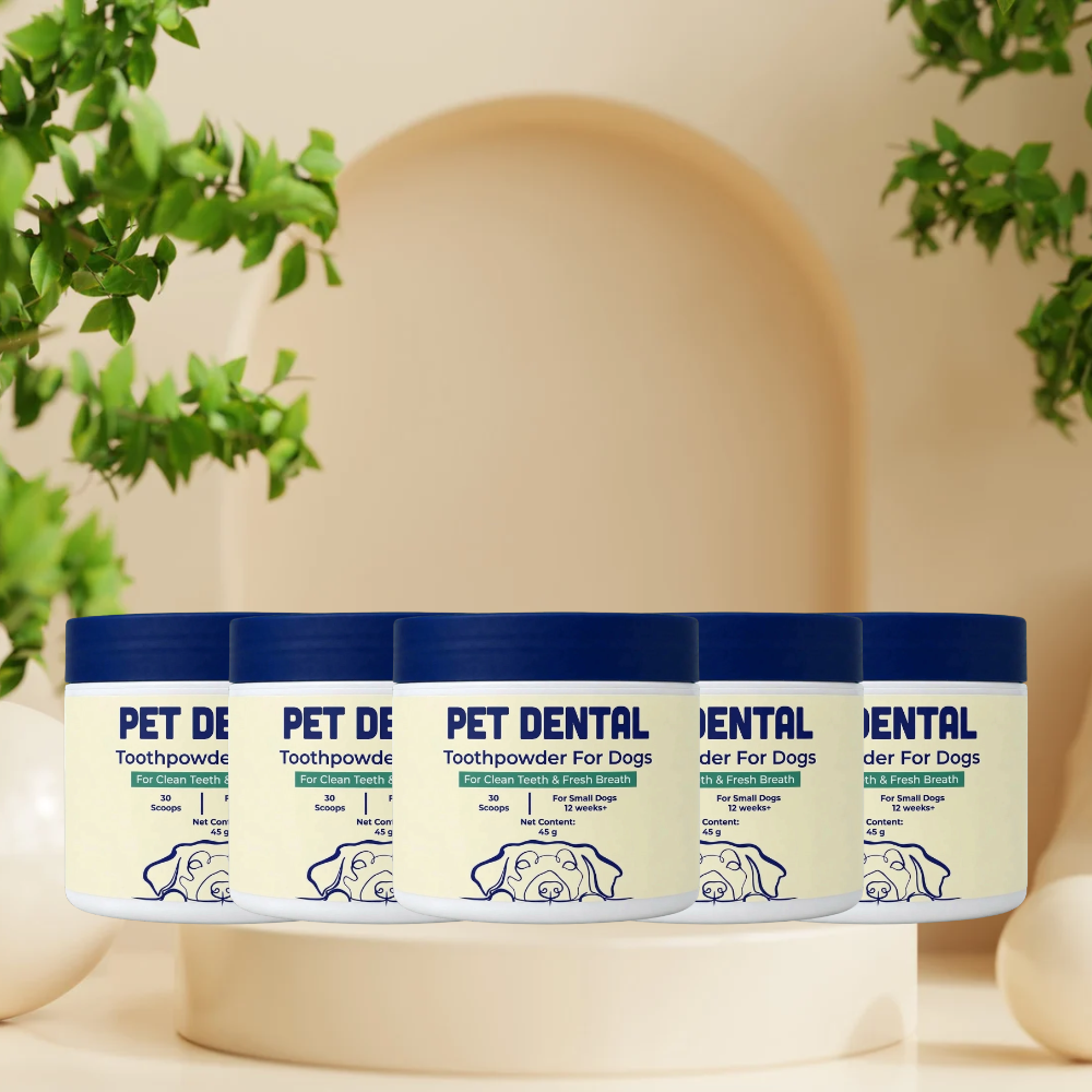 Pet Dental