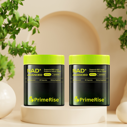 PrimeRise